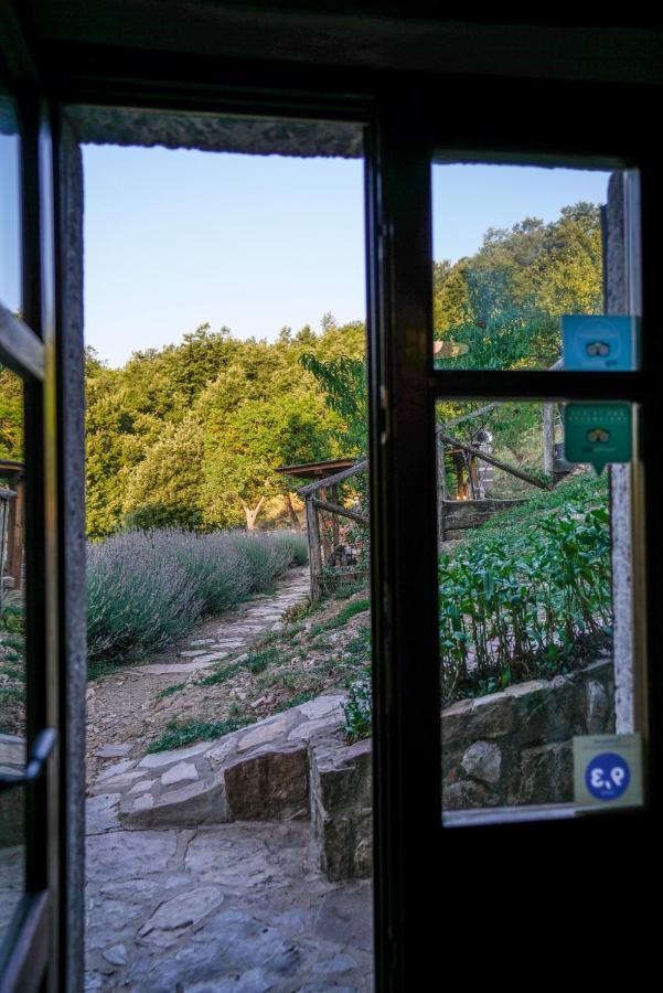 Agriturismo La Colombella Bagni San Filippo Exterior photo